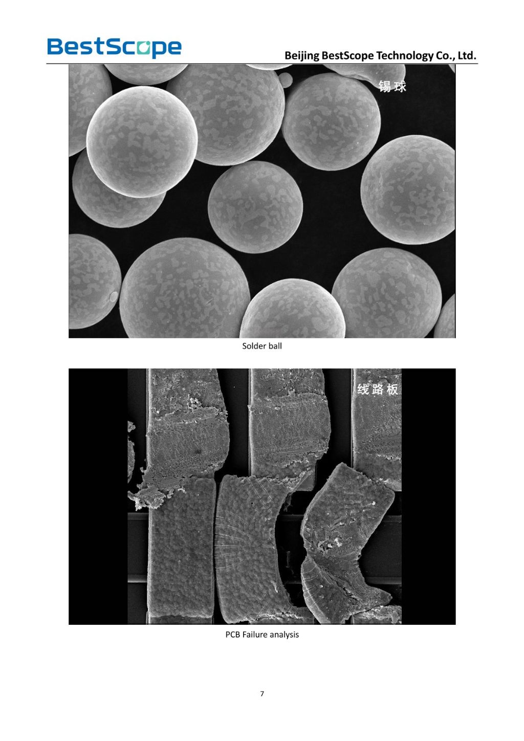 BSEM-691 Tungsten Filament Scanning Electron Microscope 6
