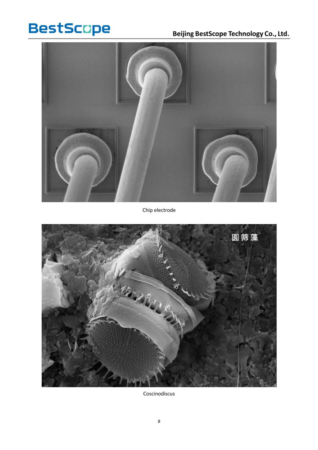 BSEM-691 Tungsten Filament Scanning Electron Microscope 7