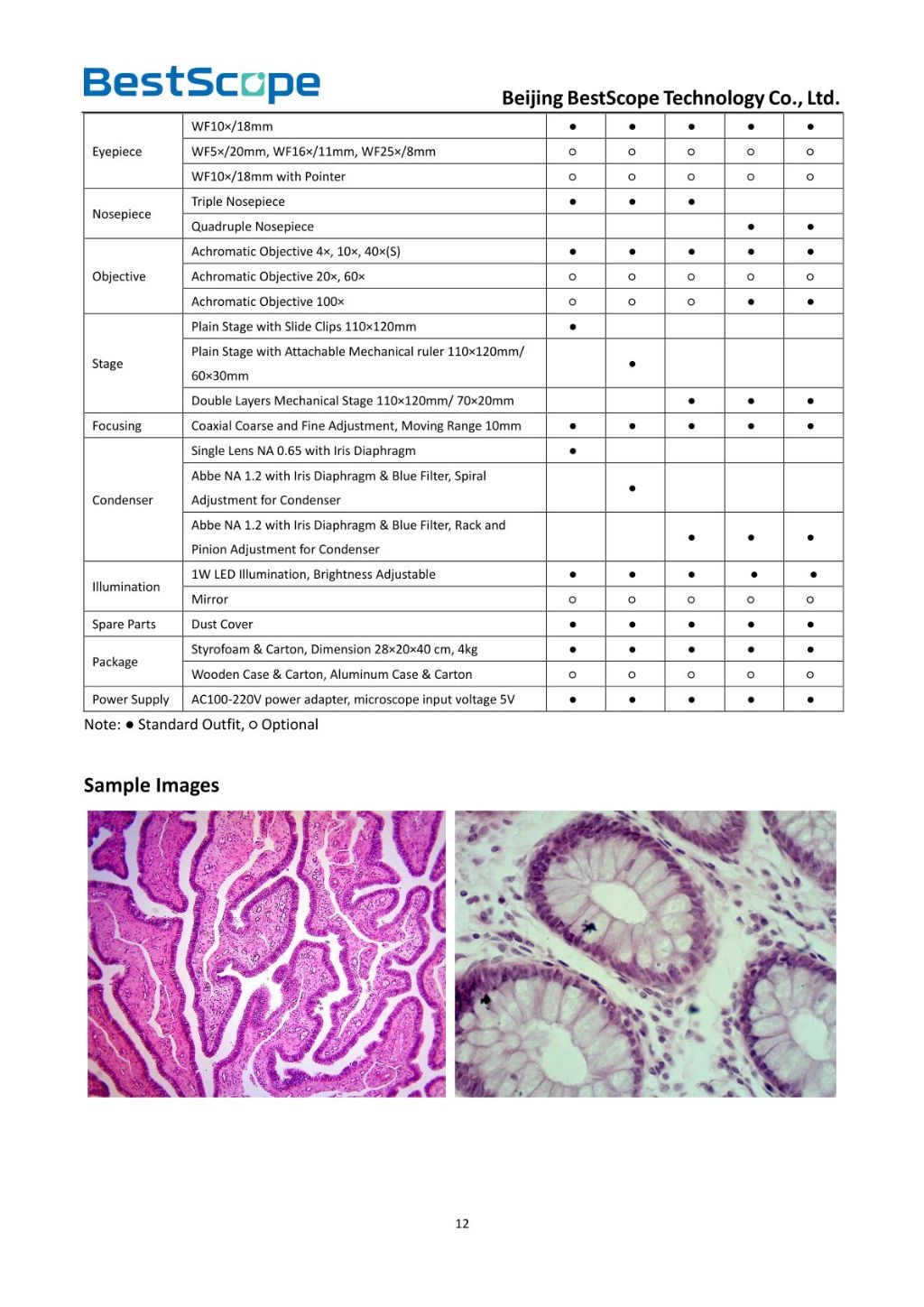 BS-2010 Biological Microscope 2