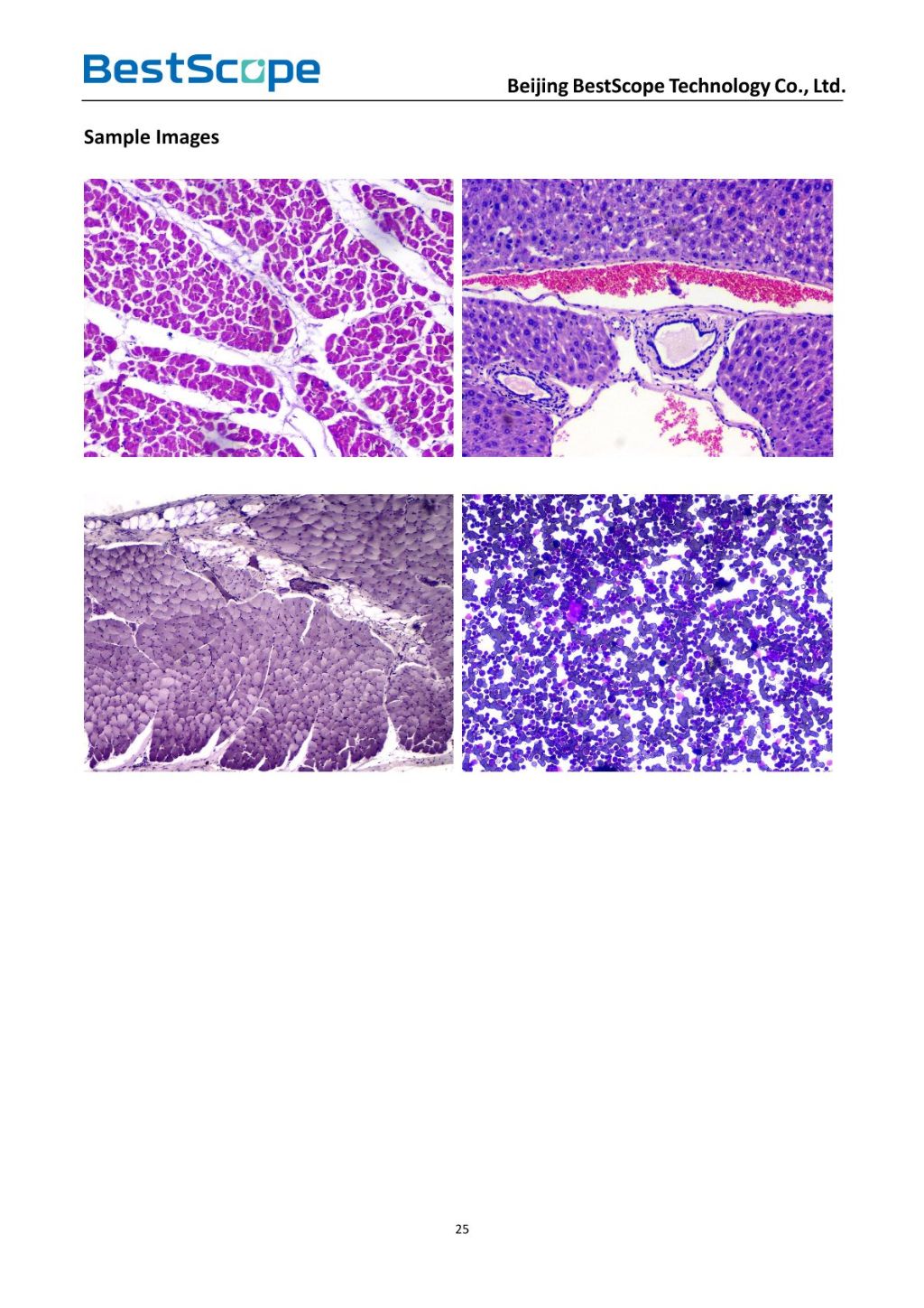 USB2.0 CMOS Microscope Digital Camera 7