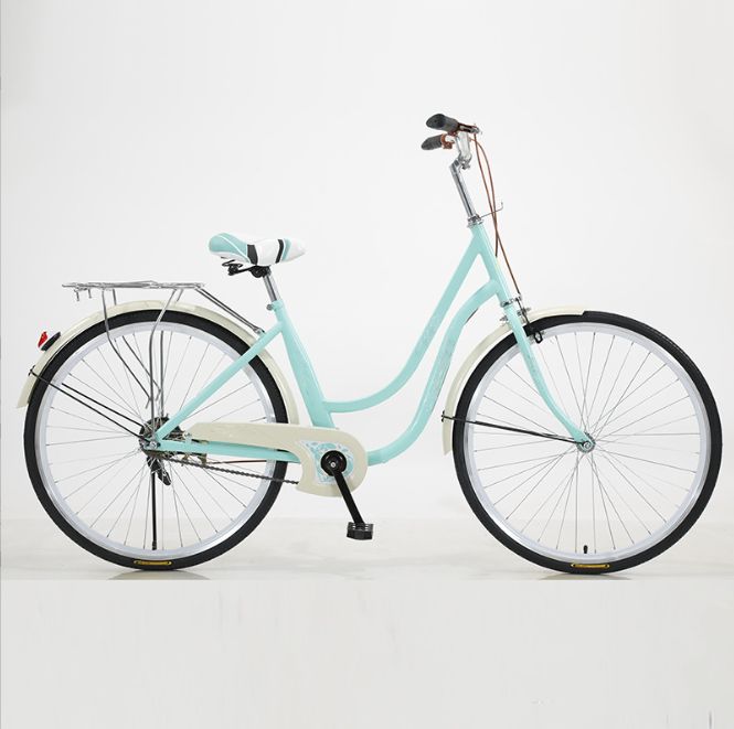 Retro Style Women's City Bicycle