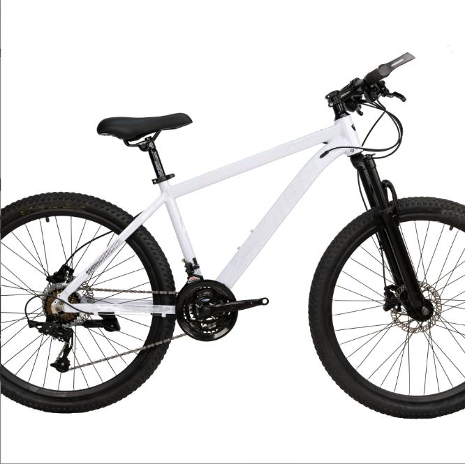 White Mountain Bike