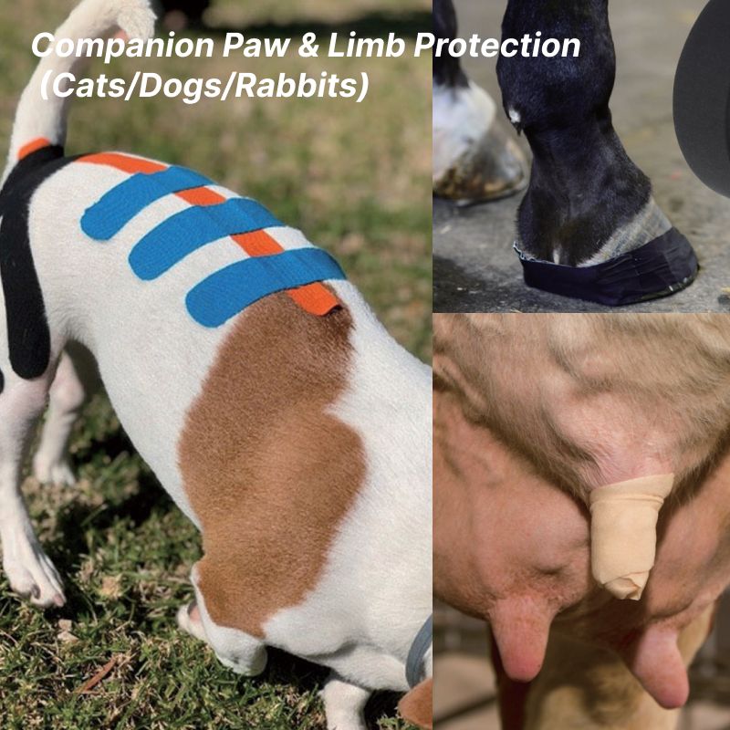 Pet Paw and Limb Protection Sleeve