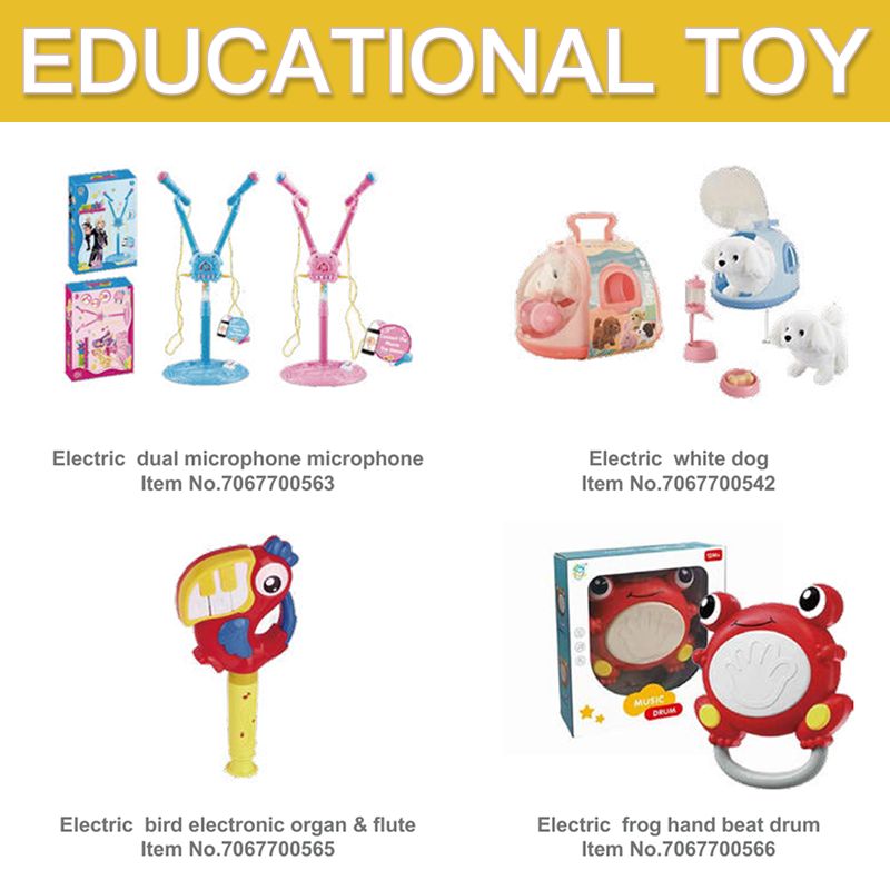 Educational Toy Set