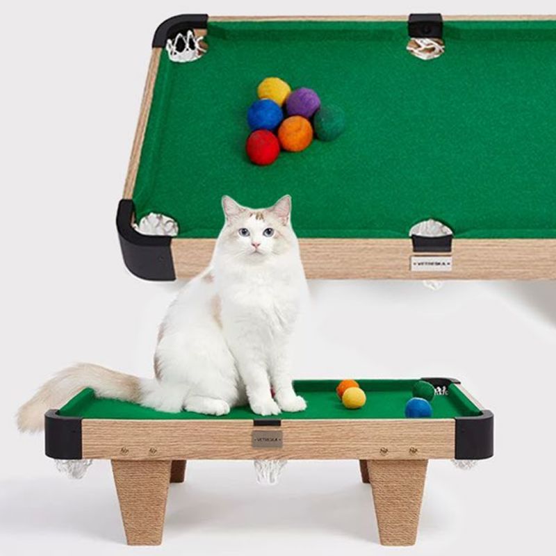 Cat Pool Table Toy