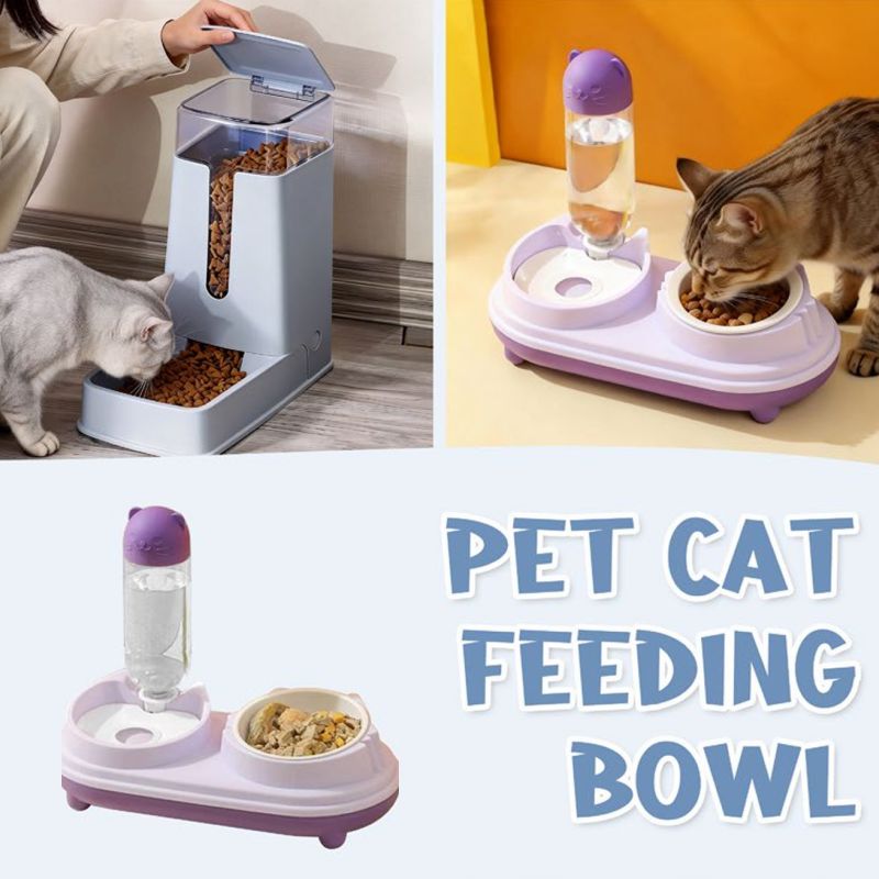 Pet Cat Feeding Bowl